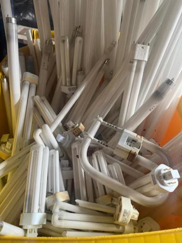 Fluorescent Tube Collections