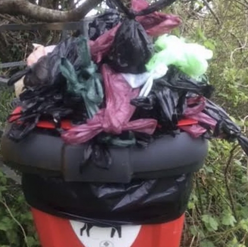 Overflowing-dog-waste-bin